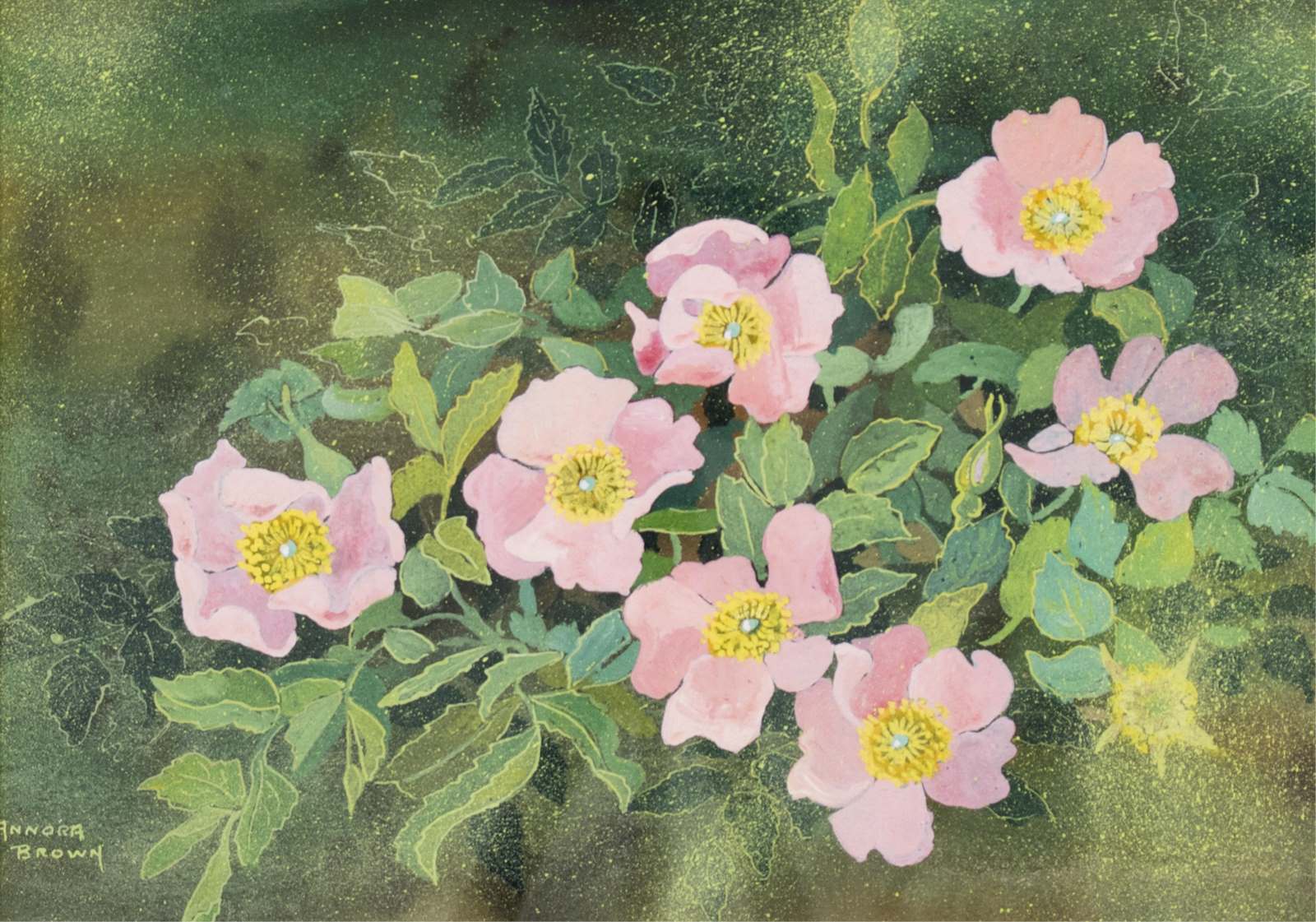 Annora Brown: Alberta Wild Roses