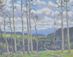 John Davenall Turner: ON NORDEGG ROAD