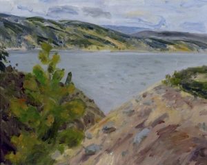 Terry Fenton: NEAR NARAMATA