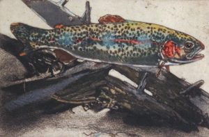 Jack Lee Cowin: SUMMER/RAINBOW  |  FALL/RAINBOW