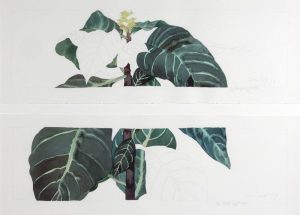 Robert William Sinclair: ZRAPLNT A & B