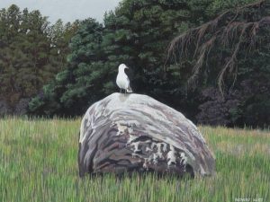 Robert Theodore Kost: SEA GULL ON ROCK, HECLA