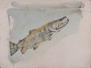 Jack Lee Cowin: RISING BROWN