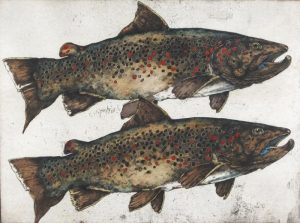 Jack Lee Cowin: BROWN ON BROWN (WESTERN TROUT SERIES)