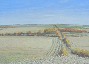 Sylvain Voyer: ST. ALBERT FARMLAND  |  DEVON HILL