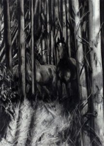 Maureen Enns: LIKE DEER IN THE FOREST