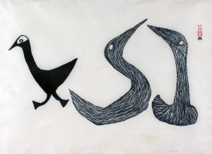 Kavavook (Kabawa): TWO BIRDS, ONE DUCK