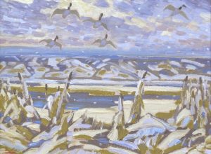 Illingworth Holey Kerr: DECEMBER DUCKS