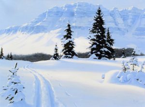 Ted Raftery: BOW PEAK (MOSQUITO CREEK AREA)