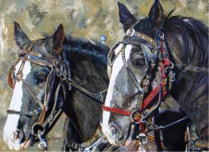 Jody Skinner: ARIZONA HEAVY HORSES