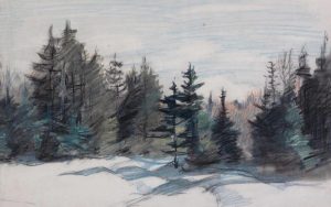 Frederick Simpson Coburn: WINTER FOREST SCENE