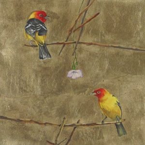 Jack Lee Cowin: WESTERN TANAGERS