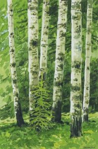 Keith L. Thomson: NEW GROWTH  |  FALL COLOURS