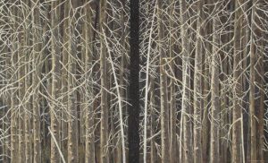 Michael Matthews: TREES