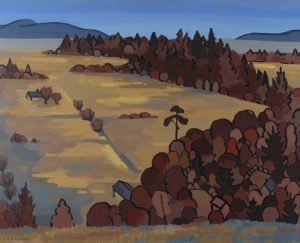 Colin D. Graham: FALLOW FIELDS