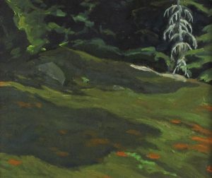 Edwin Headley Holgate: DEAD SPRUCE, LAURENTIANS