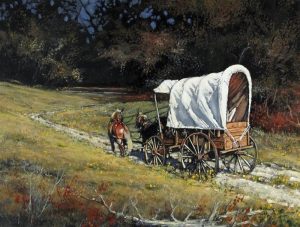 Vilem Zach: INTO THE SHADE