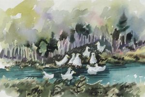 Janet Mitchell: AWKWARD SQUAD OF DUCKS