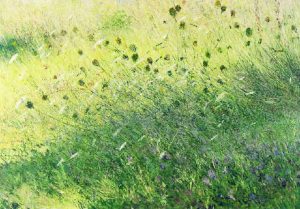 Henri Jacques Masson: OMBELLES AU BORD DE L’OMBRE