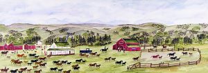 Irene E. McCaugherty: HORSE RANCH