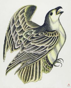 Kananginak Pootoogook: QINNUAJUAG