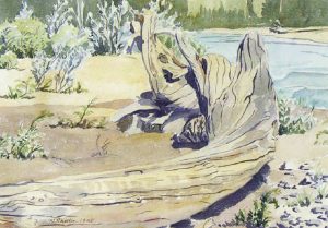 Margaret Shelton: UNTITLED; LOG ON THE RIVERBANK