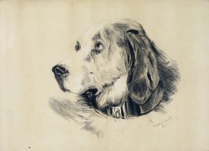 Mabel Josephine Smith: DOG PORTRAIT  |  DOG PORTRAIT; 1902