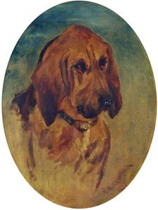 Robert Alexander: SCOTCH BASSET HOUND