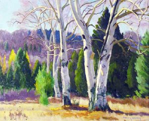 Frederick Stanley Haines: SUNLIT BIRCHES