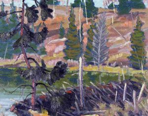 William Parsons: BEAVER DAM