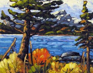 Rod Charlesworth: ON THE SUNSHINE COAST