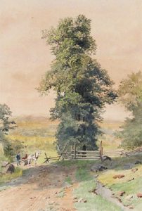 Thomas Mower Martin: COUNTRY ROAD