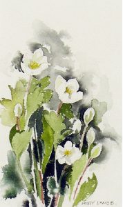 Molly Joan Lamb Bobak: ANEMONES