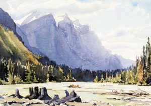 Margaret Shelton: MT. WILSON, GRAVEYARD FLATS