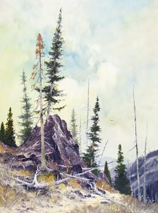 Werner R. Plangg: GRIZZLY COUNTRY, BC