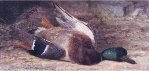 Thomas Mower Martin: UNTITLED; DEAD MALLARD