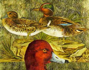 Jack Lee Cowin: UNTITLED; DUCKS OF CANADA SERIES