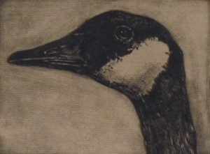 Jack Lee Cowin: CANADA GOOSE