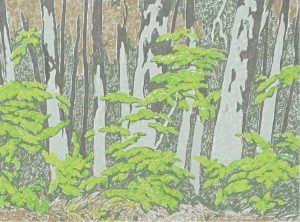 Alfred Joseph Casson: FOREST EDGE