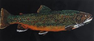 Jack Lee Cowin: BROOK TROUT