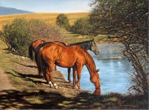 John Ralph Schnurrenberger: AT THE WATERHOLE