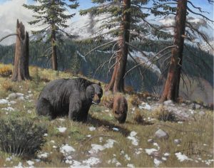 Elmer Schock: BLACK BEAR AND CUB