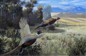 Elmer Schock: TO CLOSE