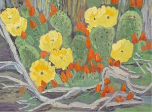 Mary Kerr: PRICKLY PEAR CACTUS, DRUMHELLER