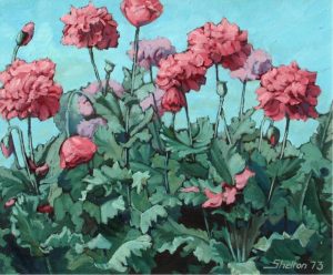 Margaret Dorothy Shelton: PEONY POPPIES