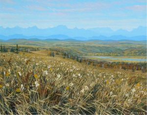 Randolph T. Parker: GRASSLANDS