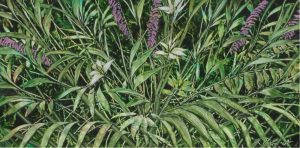 Ken Vincent: BOTANICAL FANTASY