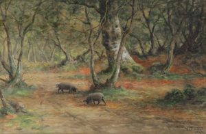 Frederick Arthur Verner: BOARS IN BURNHAM WOODS