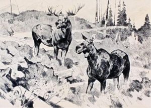 Carl Clemens Moritz Rungius: MATES