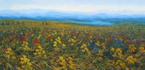 Randolph T. Parker: WILD CANADIAN HOME